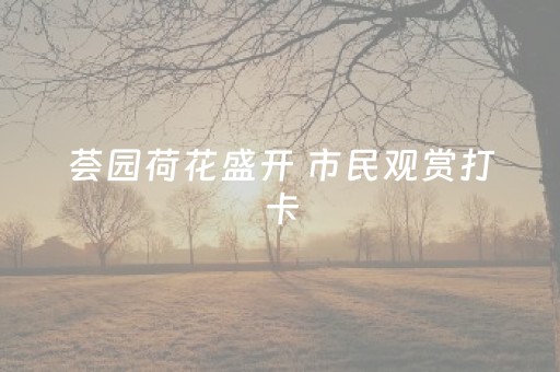 必看教程“微信手机打麻将怎么赢”（详细透视教程）-哔哩哔哩