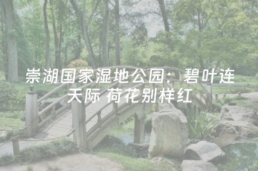 三亚南山寺自由行攻略（三亚南山寺旅游攻略）