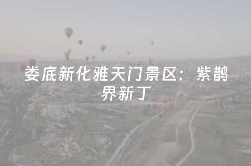 3分钟学会“手机斗牛通用辅助器”（详细透视教程）-哔哩哔哩