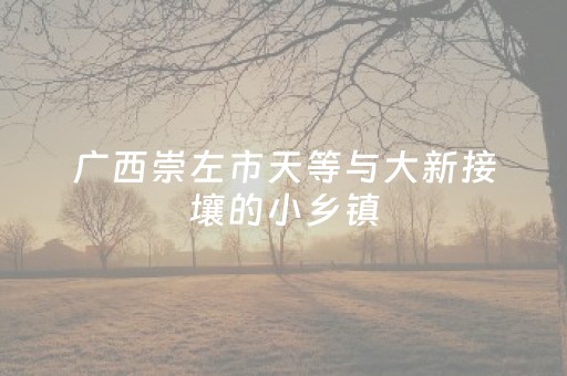 今日实测“微乐四川麻将挂神器”（详细透视教程）-哔哩哔哩