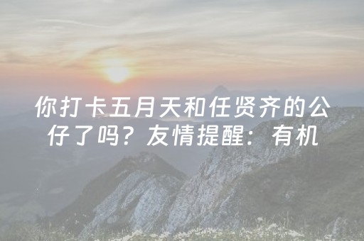 3分钟学会“诚信红包能不能控制尾数”（详细透视教程）-哔哩哔哩