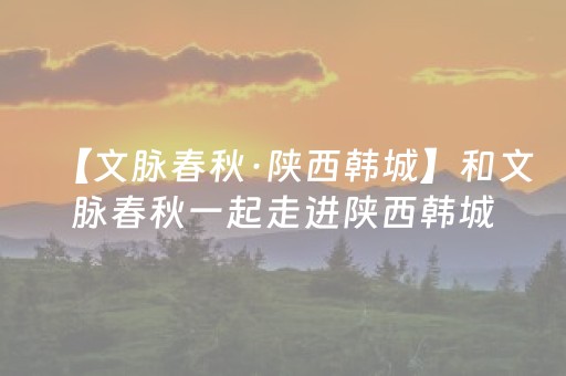 终于发现“微乐插件下载教程”（详细透视教程）-哔哩哔哩