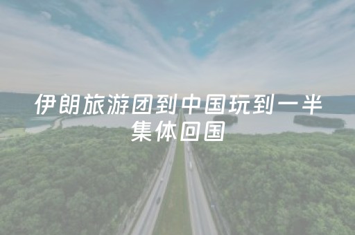 玩家实测“闲逸跑得快怎么赢”（详细透视教程）-哔哩哔哩
