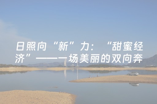 日照向“新”力：“甜蜜经济”——一场美丽的双向奔赴