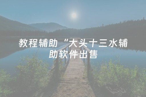 教程辅助“大头十三水辅助软件出售（专用辅牌神器免安装）