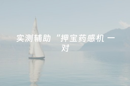 实测辅助“押宝药感机 一对（助赢神器通用版）