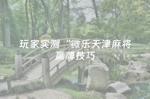 玩家实测“微乐天津麻将赢牌技巧（助赢神器通用版）