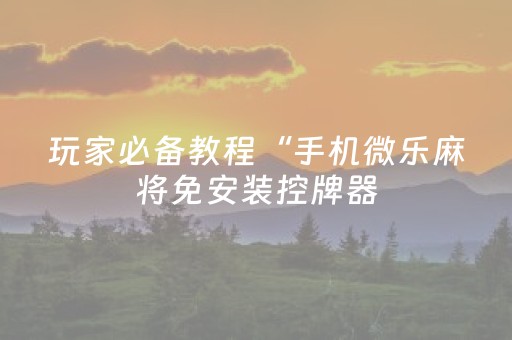 教程辅助“筒子斗牛先进仪器”（详细透视教程）-哔哩哔哩