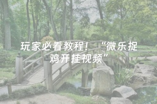 玩家必看教程！“微乐捉鸡开挂视频”（详细透视教程）-哔哩哔哩