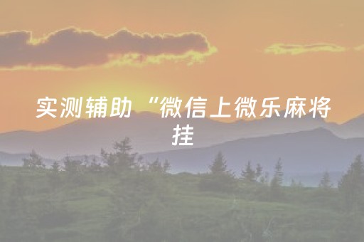 实测辅助“微信上微乐麻将挂（助赢神器通用版）