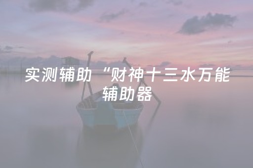 实测辅助“财神十三水万能辅助器（专用辅牌神器免安装）