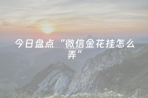 今日盘点“微信金花挂怎么弄”（详细辅助教程）-哔哩哔哩