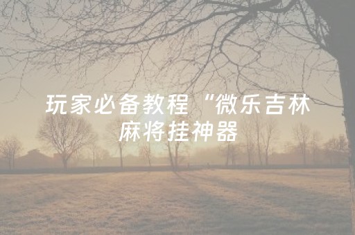 玩家必备教程“微乐吉林麻将挂神器（助赢神器通用版）