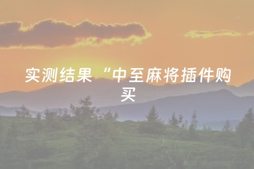 实测结果“中至麻将插件购买（专用辅牌神器免安装）