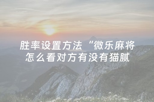 胜率设置方法“微乐麻将怎么看对方有没有猫腻（助赢神器通用版）