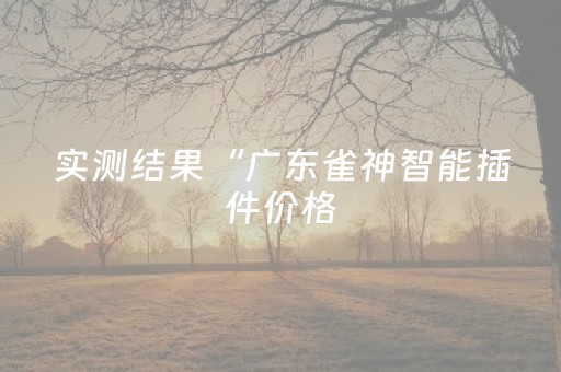 实测结果“广东雀神智能插件价格（专用辅牌神器免安装）