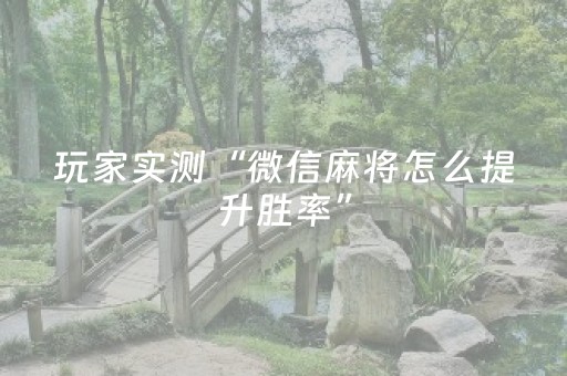 玩家实测“微信麻将怎么提升胜率”（详细透视教程）-哔哩哔哩