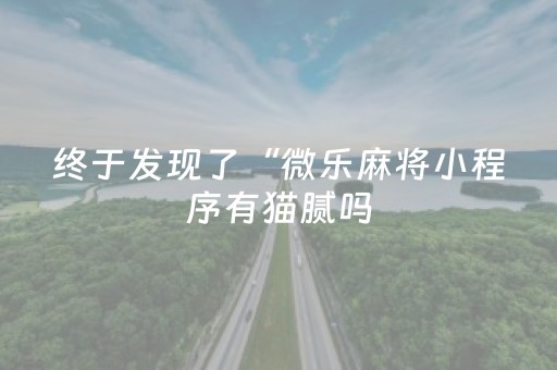 终于发现了“微乐麻将小程序有猫腻吗（专用辅牌神器免安装）