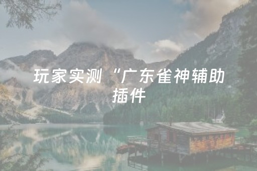 玩家实测“广东雀神辅助插件（专用辅牌神器免安装）