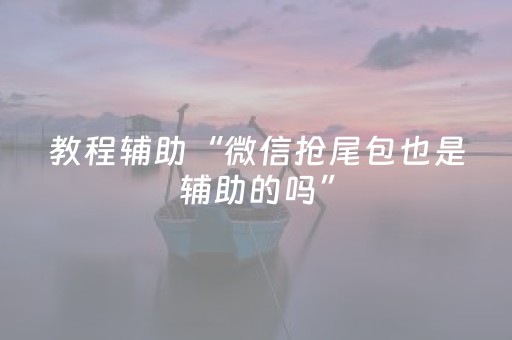 教程辅助“微信抢尾包也是辅助的吗”（详细透视教程）-哔哩哔哩