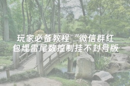 玩家必备教程“微信群红包埋雷尾数控制挂不封号版”（详细透视教程）-哔哩哔哩
