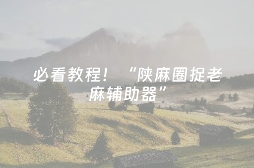 必看教程！“陕麻圈捉老麻辅助器”（详细开挂教程）-哔哩哔哩