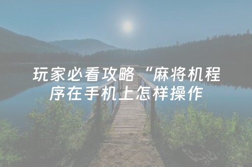 玩家必看攻略“麻将机程序在手机上怎样操作（助赢神器通用版）