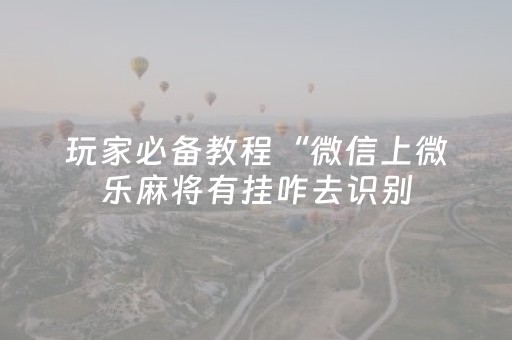 玩家必备教程“微信上微乐麻将有挂咋去识别（助赢神器通用版）