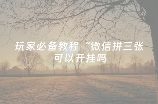玩家必备教程“微信拼三张可以开挂吗（助赢神器通用版）