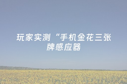 玩家实测“手机金花三张牌感应器（专用辅牌神器免安装）