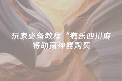 玩家必备教程“微乐四川麻将助赢神器购买（助赢神器通用版）