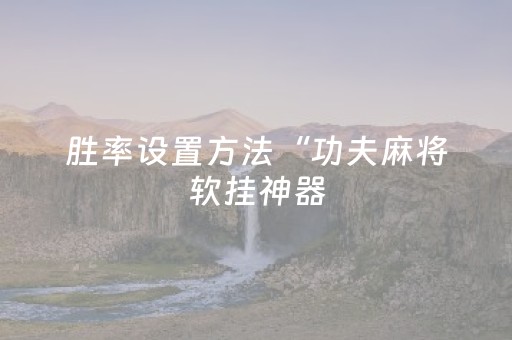胜率设置方法“功夫麻将软挂神器（助赢神器通用版）