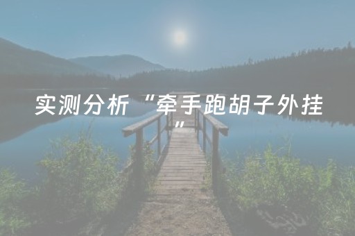 实测分析“牵手跑胡子外挂”（详细透视教程）-哔哩哔哩