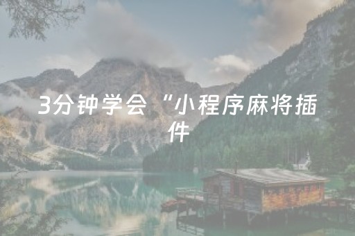 3分钟学会“小程序麻将插件（助赢神器通用版）