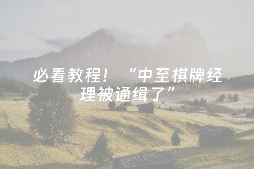 必看教程！“中至棋牌经理被通缉了”（详细辅助教程）-哔哩哔哩