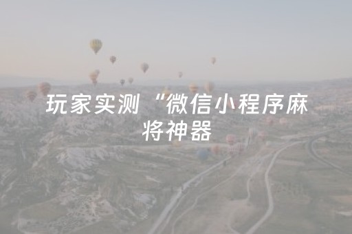 玩家实测“微信小程序麻将神器（专用辅牌神器免安装）