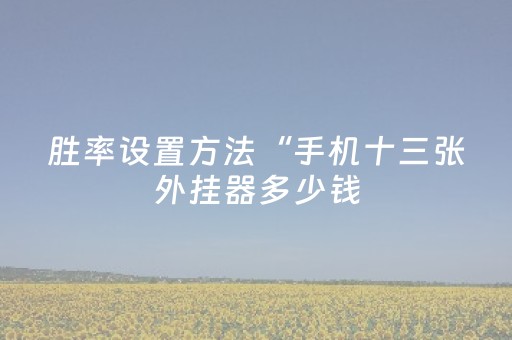 分享辅助“最新麻将机免安装解码器”（详细透视教程）-哔哩哔哩