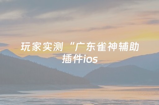 玩家实测“广东雀神辅助插件ios（助赢神器通用版）