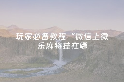 玩家必备教程“微信上微乐麻将挂在哪（专用辅牌神器免安装）