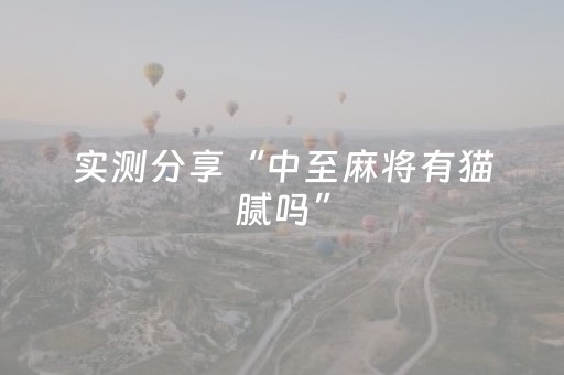 实测分享“中至麻将有猫腻吗”（详细辅助教程）-哔哩哔哩