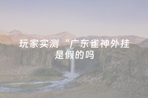 玩家实测“广东雀神外挂是假的吗（助赢神器通用版）