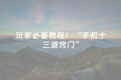 玩家必看教程！“手机十三道窍门”（详细透视教程）-哔哩哔哩