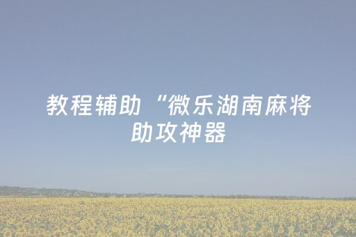 教程辅助“微乐湖南麻将助攻神器（助赢神器通用版）