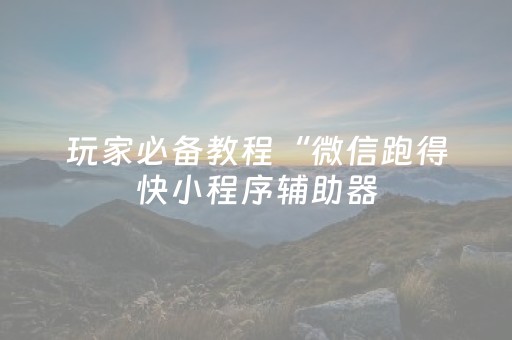 玩家必备教程“微信跑得快小程序辅助器（助赢神器通用版）