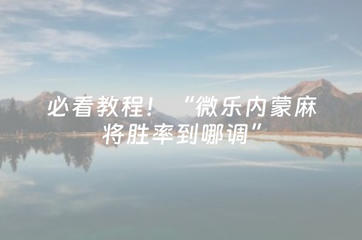 必看教程！“微乐内蒙麻将胜率到哪调”（详细开挂教程）-哔哩哔哩