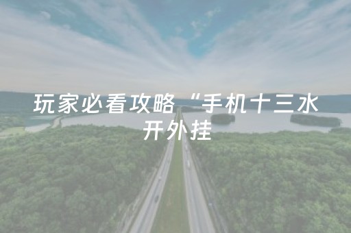 玩家必看攻略“手机十三水开外挂（专用辅牌神器免安装）