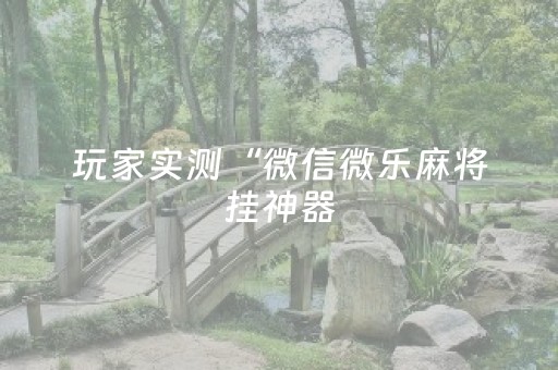玩家实测“微信微乐麻将挂神器（专用辅牌神器免安装）