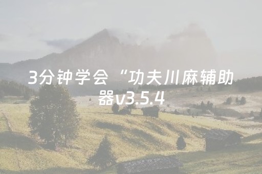 3分钟学会“功夫川麻辅助器v3.5.4（助赢神器通用版）