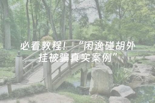 必看教程！“闲逸碰胡外挂被骗真实案例”（详细透视教程）-哔哩哔哩