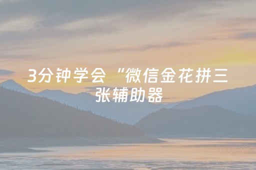 3分钟学会“微信金花拼三张辅助器（助赢神器通用版）